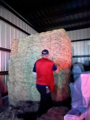 Hay bales! In their barn.