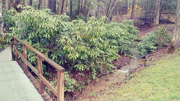 Small creek flowing thru property