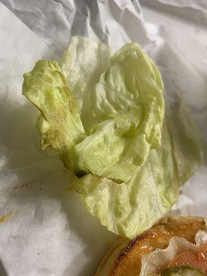 This is lettuce from the cheeseburger. Very wilted and black part?! I am glad I didn't ingest this.