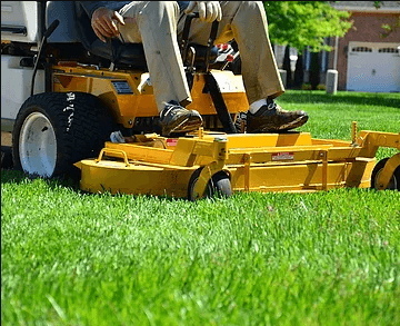 Lawn Service