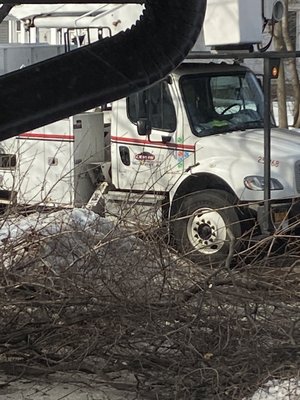 Lewis tree company and the degree blocking our entire driveway