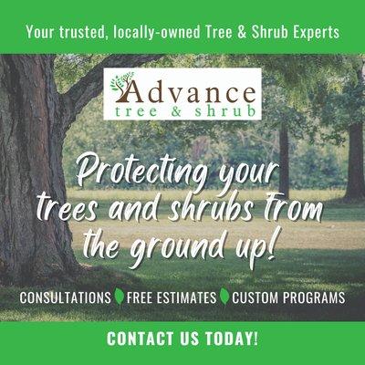 Advance Pest Control