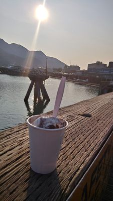 Moose Tracks and a view