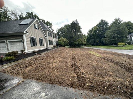 This is what the lawn looked like after we took care of all the crab grass and weeds