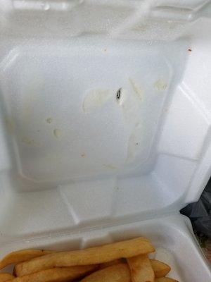 Fries burned though the container because they never line it with anything. I don't like to eat foam!