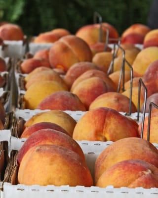 Pretty Homegrown Peaches