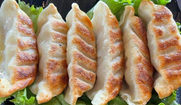 Pan fried chicken pot sticker