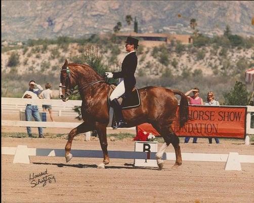 Grant Dressage