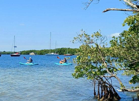 Goko Kayaks