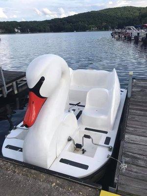 Paddle boat for rent