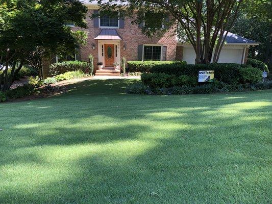 Another yard of the month