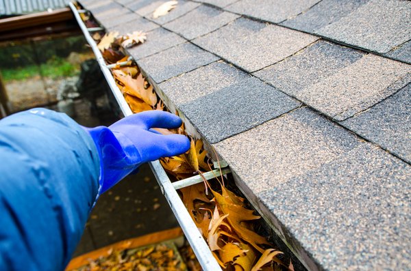 Gutter Cleanup Services