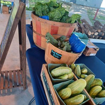 Troy Farmers Market Arts & Crafts