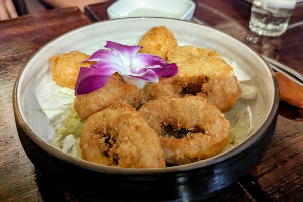 Fried Calamari