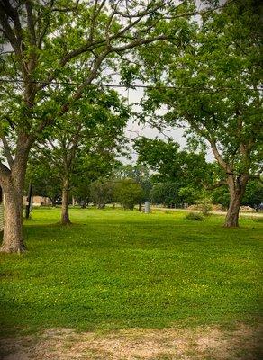 Plenty of Natural shade and room for your pets play time.