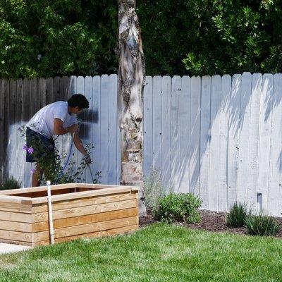 Wood Fence Painting