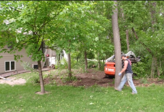 Olson's Tree Service