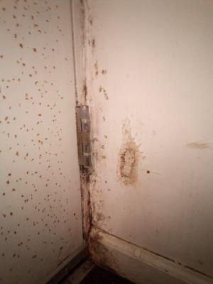 Behind the door. Mold.