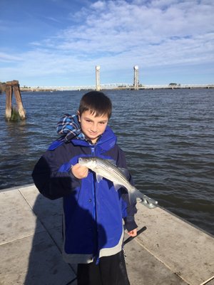 Caught at the public pier behind City Hall