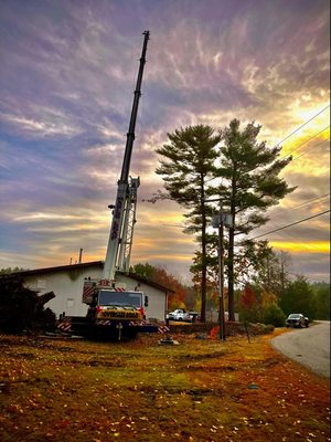 Rich's Tree Service