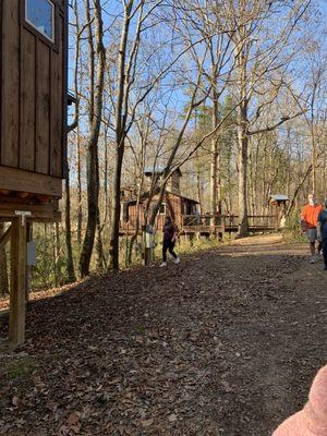 View of a couple of the tree houses