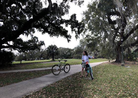 Under the Live Oaks in City Park