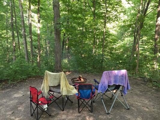 Great view of the woods and a ravine.