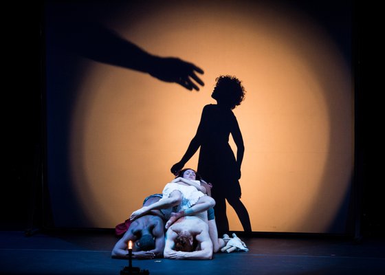 Pilobolus