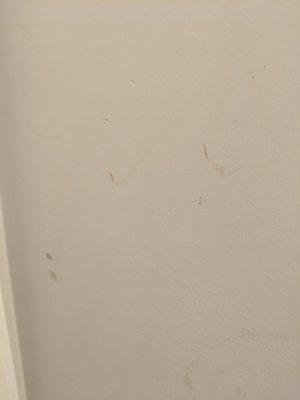 This is what they did to my wall in the hall. Only one example, have 2 others with similar damage.