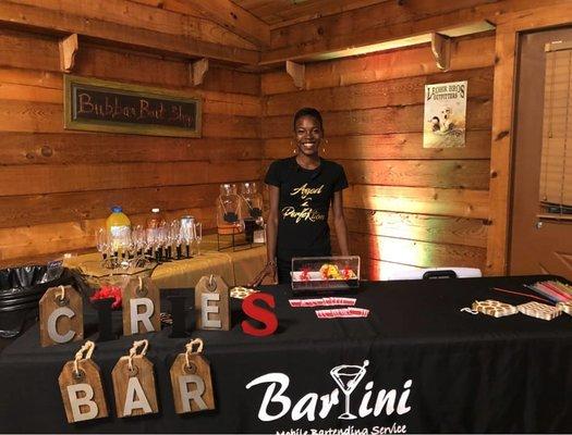 Bartini Mobile Bartending Service