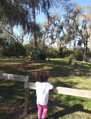 Scout park area of Riverhills Park.