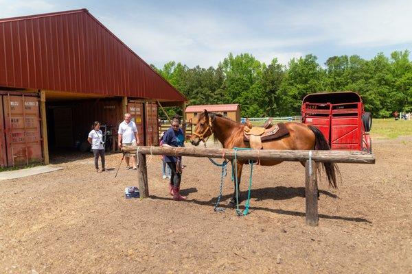 Red Barn Pony Park