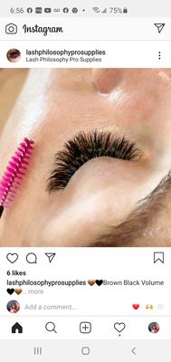 lash extensions