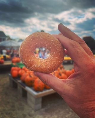 Delicious Apple Cider Donuts