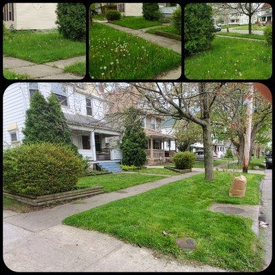 Lawn moving overgrown grass is something we can take care of ! This lawn for 5-17-20