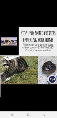 Golden State Critter Control