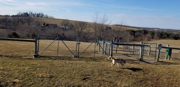 Approaching the dog runs. 1st gate opens into shared entry area; next 2 gates open into separate yards (small vs. large dogs).