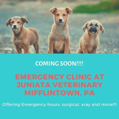 Coming soon!!!  Our Juniata office will be offering emergency services! More info to come.