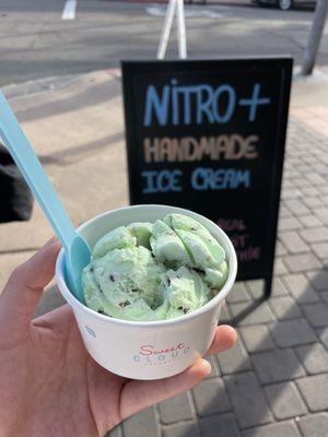 Single scoop of mint chocolate chip ice cream