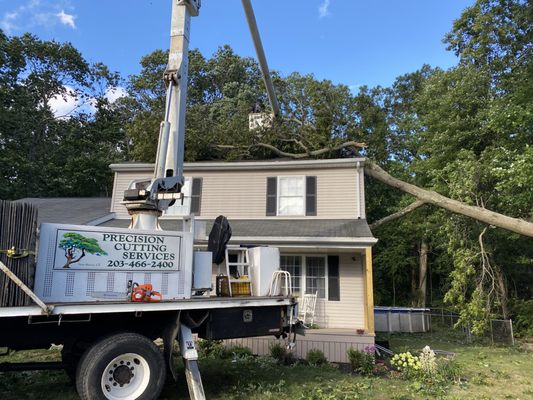 Precision Cutting Services truck removing tree