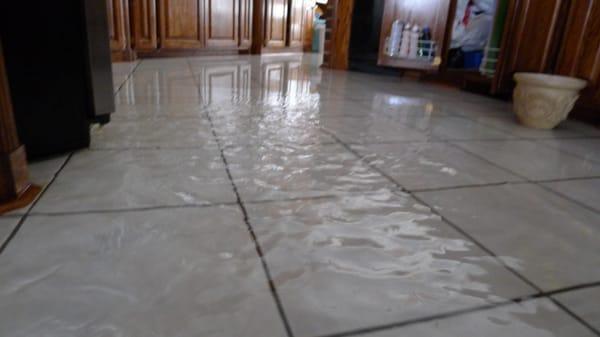 WATER OR FLOOD DAMAGE TO YOUR HOME OR BUSINESS? WE CAN HELP!