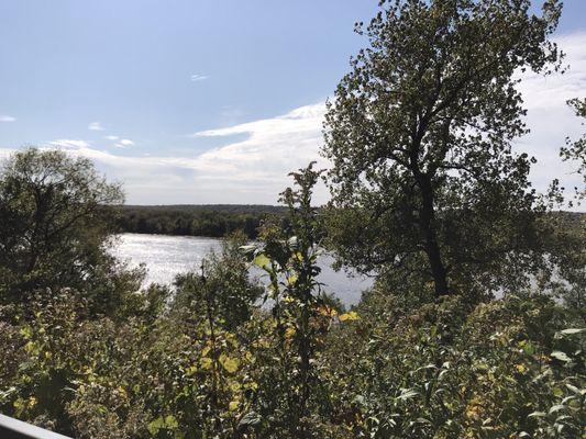 Overlooking the River