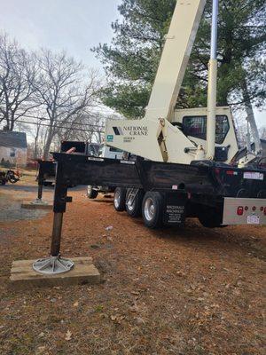 40t crane for large tree removal