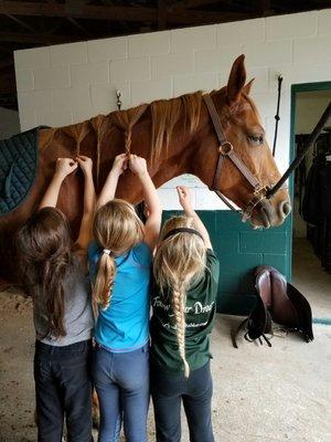 How many little girls does it take to braid a horses mane...