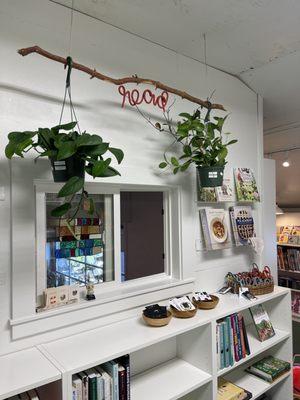 Window overlooking the magical Sierra Water plant shop