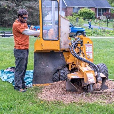 working with a stump grinding machine