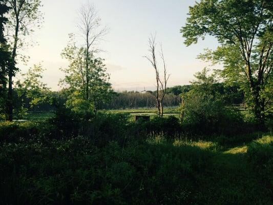 Black Fork Bottom Hunting Area