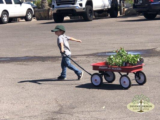 Helping picking up some flowers for a Client