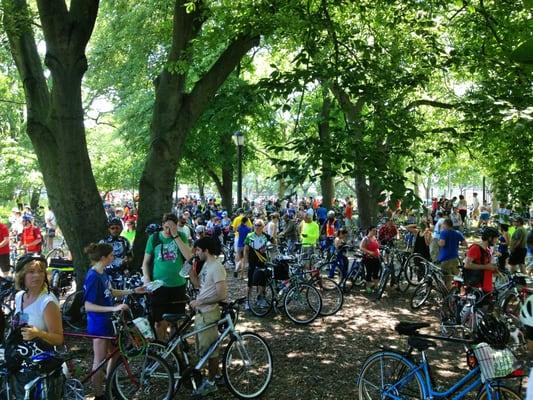 Tour de Brooklyn