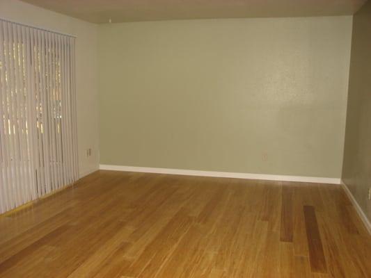 Living room with accent wall